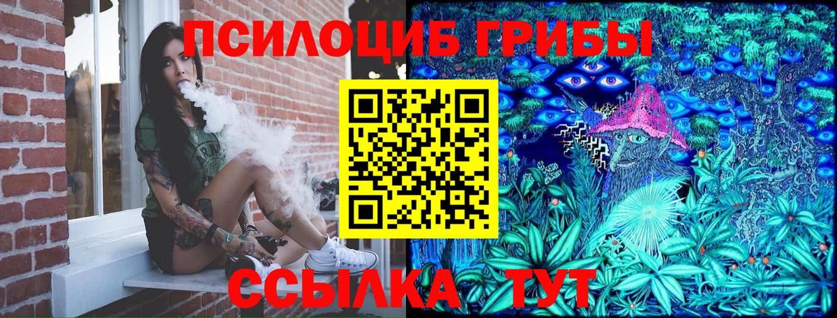 хочу   Вход с VPN  Дедовск  Галлюциногенные грибы ЛСД  Псилоцибиновые грибы мухоморы 