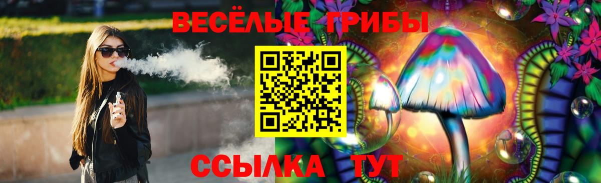 Псилоцибиновые грибы Psilocybe Дедовск